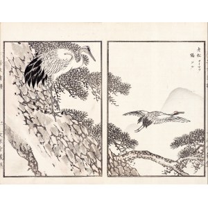 Kikuchi Hobun (1862-1918), Żurawie, Kioto, 1890