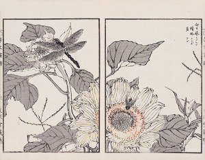 Kikuchi Hobun (1862-1918), Ważka i kwiat słonecznika, Kioto, 1890