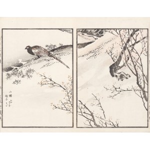 Kikuchi Hobun (1862-1918), Bażant w śniegu, Tokio, 1890
