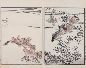 Kikuchi Hobun (1862-1918), Pod wodą, Kioto, 1890