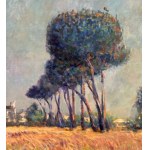 TERRACCIANO GIUSEPPE, Landscape with pine trees - Giuseppe Terracciano