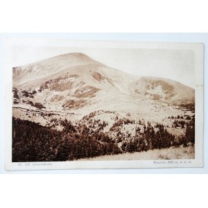 [CZARNOHORA]. Nr. 233. Czarnohora / Howerla 2058 m. m. p. m.