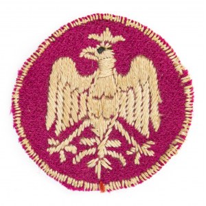 Eagle Polish Army in France