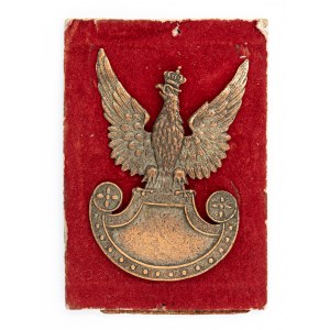 Eagle pattern 19 with an unusual drawing (E.M. Unger Lviv ?)