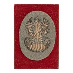 Officer's eagle of 1 SBS