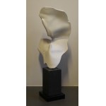Zuzanna Grochowska, Cryptoface, 2018