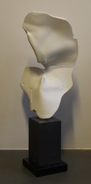 Zuzanna Grochowska, Cryptoface, 2018