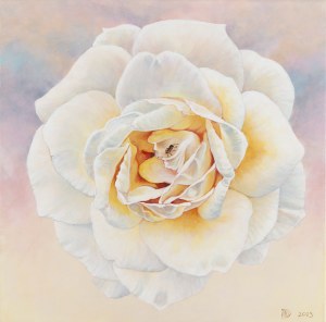 Dorota Degórska-Bartkowicz (ur. 1972, Gniezno), 