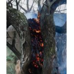 Karol Palczak, Burning Tree, 2020