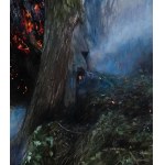 Karol Palczak, Burning Tree, 2020