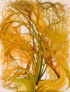 Edyta Hul, Love in a mist, 2024