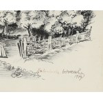 Wiktor ZIN (1925-2007), Polska wieś (1979)