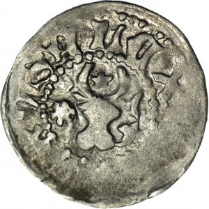 R-, Moldova, fief of Poland, Alexander the Good 1400-1432, Penny
