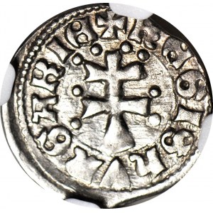 R-, Ludwik Węgierski 1370-1382, Denar Saracen