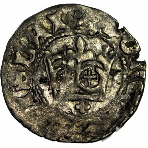 Władysław II Jagiełło, Półgrosz 1410-1412, typ XV, znak +