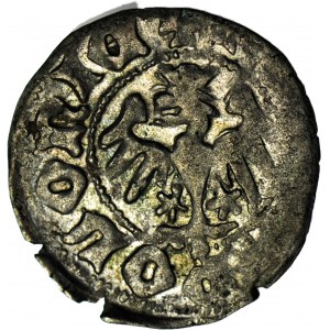 Władysław II Jagiełło, Półgrosz 1410-1412, typ XV, znak +