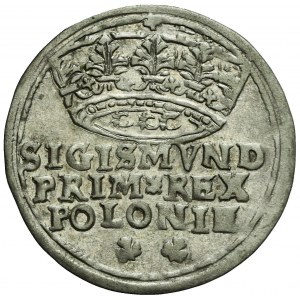 Sigismund I the Old, Grosz 1545, Cracow, very nice