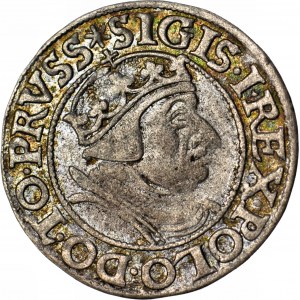 Zygmunt I Stary, Grosz 1538 Gdańsk, PRVSS, piękny