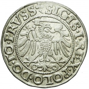 Sigismund I the Old, 1540 penny, Elblag, ELBING, beautiful
