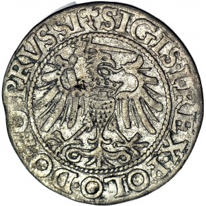Sigismund I the Old, 1540 penny, Elblag, ELBING