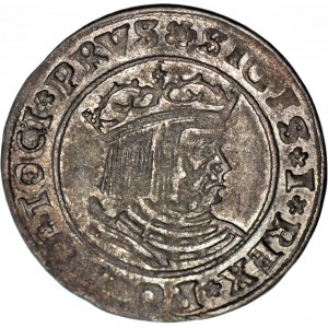 Sigismund I the Old, 1529 penny, Torun, PRVS/PRVSS, nice