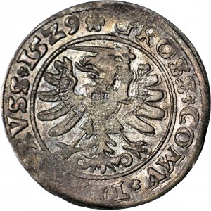 Sigismund I the Old, 1529 penny, Torun, PRVS/PRVSS, nice