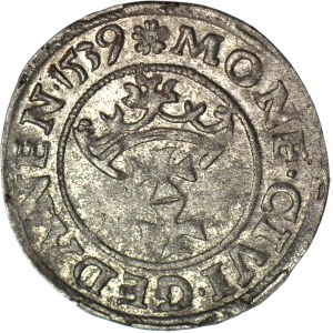 R-. Zygmunt I Stary, Szeląg 1539 Gdańsk rozeta, R3