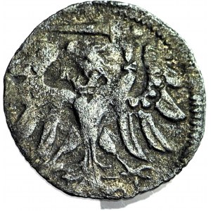 R-, Sigismund II Augustus, Denarius 1558, Gdansk, rare