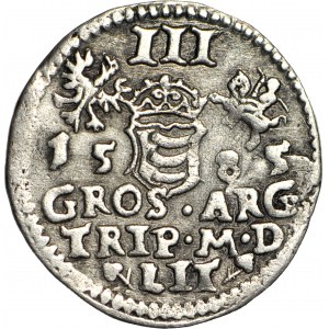 Stefan Batory, Trojak 1585, Wilno, herb Prus pod popiersiem bez grotu, R3