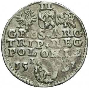 Sigismund III Vasa, Trojak 1591, Olkusz, decorative shield, rare