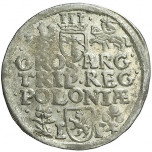 Sigismund III Vasa, Trojak 1596 Wschowa, two flowers, date ends obverse legend