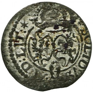 Zygmunt III Waza, Szeląg 1623, Wilno