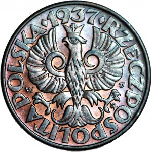 5 groszy 1937, mäta