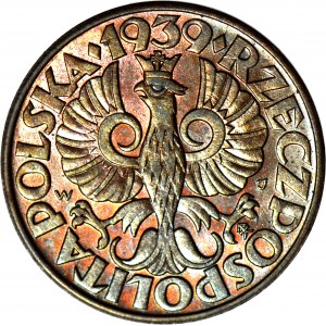 5 groszy 1939, mäta