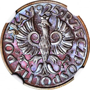 2 grosze 1925, mennicze, kolor BN