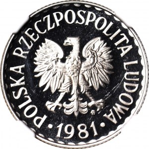 1 złoty 1981, nakład 5 tys., LUSTRZANE