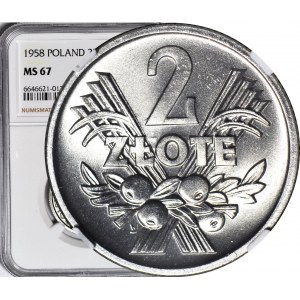 2 Gold 1958, Berries, mint, high note!