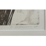Magdalena Abakanowicz ( 1930 - 2017 ), Head from the Katharsis portfolio, 1985