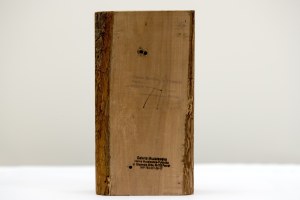 Andrzej Szewczyk ( 1950 - 2001 ), obiekt z cyklu - Diariusze, l. 80 XX w.