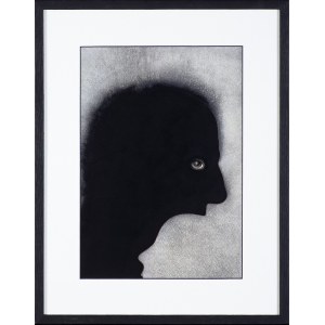 Wiesław Rosocha ( 1945 - 2020 ), Profile