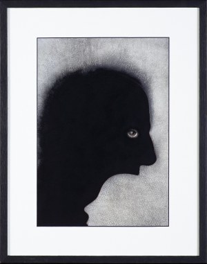 Wiesław Rosocha ( 1945 - 2020 ), Profile