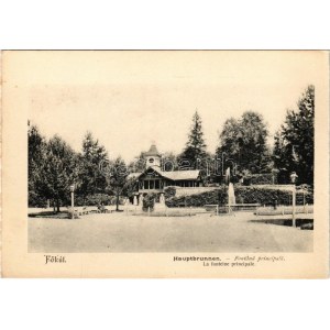 Borszék, Borsec; Főkút / Hauptbrunnen / Fontana principala / La fonteine principale / spring source (képeslapfüzetből ...