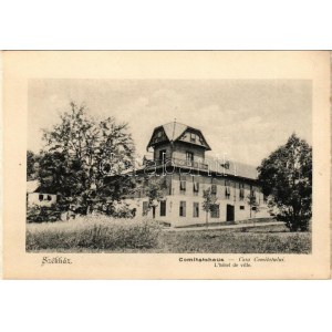 Borszék, Borsec; Székház / Comitashaus / Casa Comitatului / villa (képeslapfüzetből / from postcardbooklet) (15,4 x 10...