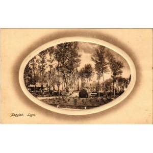 1914 Nagylak, Nadlac; Liget. Weisz Márk kiadása / park