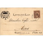 1901 Petrozsény, Petrosani; Részlet a Szurdukból, Gerbert Villa. Joánovits és Sternád kiadása ...