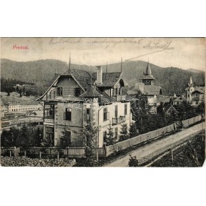 1906 Predeál, Predeal; nyaralók / villas (EM)