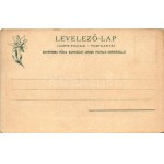 Nedec, Niedzica (mai Lengyelország, Magas-Tátra); Nedecz vár. Feitzinger Ede No. 364. 1902/12 / Schloss Nedecz ...