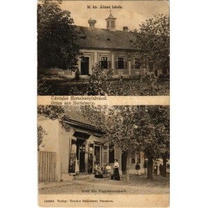 Hertelendyfalva, Hertelenty, Vojlovica; M. kir. állami iskola, Brüll féle vegyeskereskedés üzlete / school, shop ...