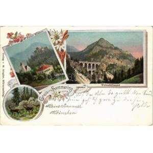 Semmering, Ort und Ruine Klamm, Weinzöttlwand. M. Riegler Art Nouveau, floral
