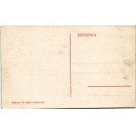 Koraj, Nar. osn. skola, Trgovina L. Gojkovic, Villa W. Stengel, Parni mlin W. Stengel / school, shop...